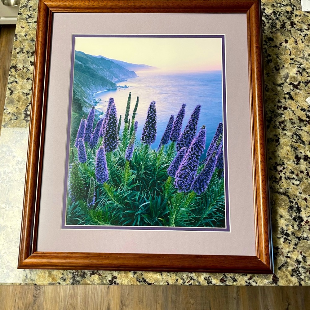Beautiful matted and framed print.